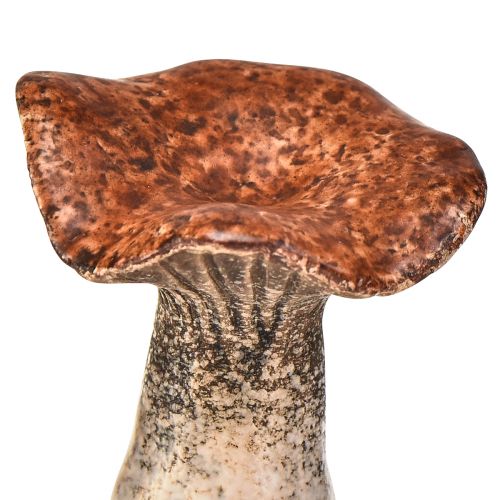 Product Nature-inspired mushroom decorations – various shades of brown, 6.4 cm – charming accents for garden and home 3 pieces