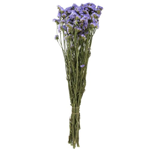 Floristik24 Sea Lilac Purple Statice Limonium sinuatum Dried Flowers 60cm 50g