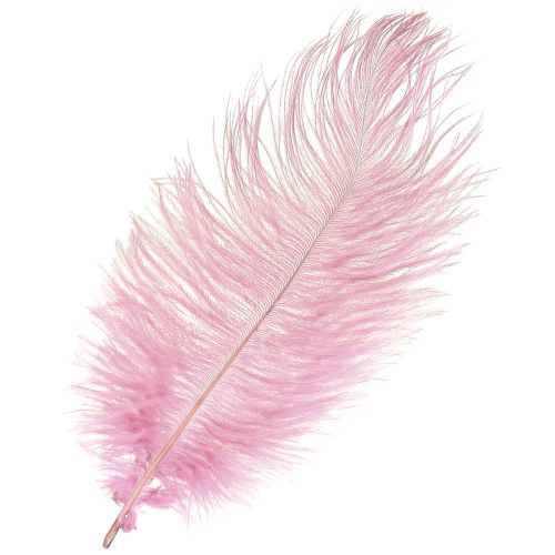 Ostrich Feathers Real Feathers Decoration Pink 20-25cm 12pcs