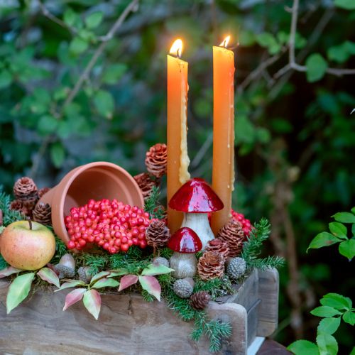 Product Strictum 6 - 9 heads 25 pcs