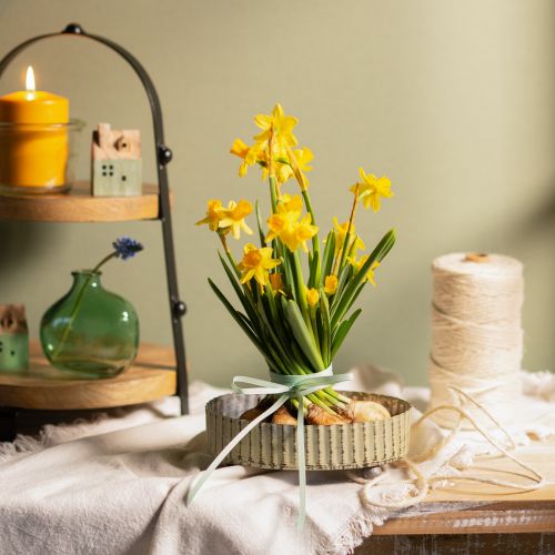 Product Tray for decorating, candle tray oval, metal decoration silver, green shabby chic L25/22/18cm H6cm set of 3