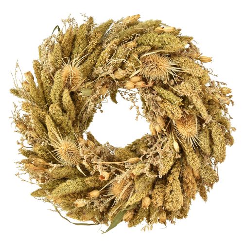 Dried wreath thistles millet yellow olive green Ø28cm