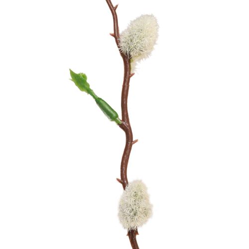 Floristik24 Pussy willow branch artificial 92cm
