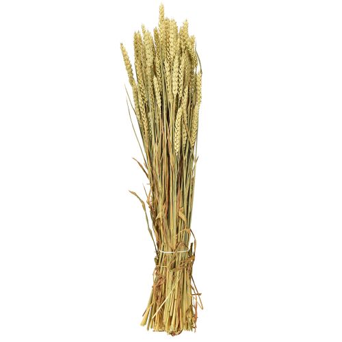 Product Wheat bunch natural decorative wheat 1 bunch 150g
