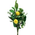 Floristik24 Decorative branches Mediterranean decoration lemons artificial 50cm