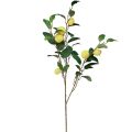 Floristik24 Decorative lemon branch with 6 artificial lemons 100cm