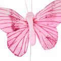 Floristik24 Decorative butterflies on wire colorful feathers 5.5×8cm 12pcs