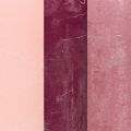 Floristik24 Pillar candles dyed 3 colours Berry 70×120mm 12 pcs