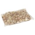 Floristik24 Bellgum bell fruit capsule fruit natural decoration brown 500g