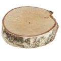 Floristik24 Birch discs with bark tree discs whitened Ø5-6cm 24 pcs