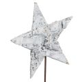 Floristik24 Birch stars on wire stars birch bark white 6cm 24 pcs