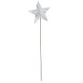 Floristik24 Birch stars on wire stars birch bark white 6cm 24 pcs