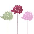 Floristik24 Flower plug wooden decorative plug hedgehog decoration color 10x7cm 18 pcs