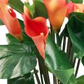 Floristik24 Calla Lily Apricot Kalla Artificial Flowers Orange Exotics 44cm