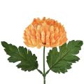 Floristik24 Chrysanthemum Orange Ø7cm L18cm 1 pc