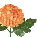 Floristik24 Chrysanthemum Orange Ø7cm L18cm 1 pc