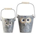 Floristik24 Decorative bucket owl planter zinc with handle Ø15/19cm set of 2