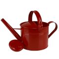 Floristik24 Decorative watering can red metal jug for planting H26cm 5L