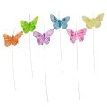 Floristik24 Decorative butterflies on wire colorful feathers 5.5×8cm 12pcs