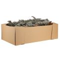 Floristik24 Decorative branches grey moss decorative branches lichen branches 30-60cm 1kg