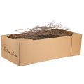 Floristik24 Decorative branches natural decorative thyme branches dried 500g