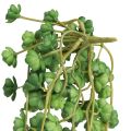 Floristik24 Echeveria Artificial Hanging Plants in Green W12cm L50cm