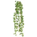 Floristik24 Echeveria Artificial Hanging Plants in Green W12cm L50cm