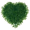 Floristik24 Decorative heart boxwood artificial decorative mat green 30.5cm