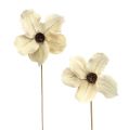 Floristik24 Wooden flower as plug bleached Ø9-12cm L45cm 15 pcs