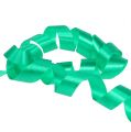 Floristik24 Curling ribbon decorative ribbon green 5mm 500m