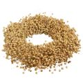 Floristik24 Boho decorative wreath flax decorative wreath natural wreath dry Ø28cm