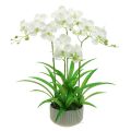 Floristik24 Artificial Orchids Artificial Flowers in Pot White 60cm