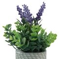 Floristik24 Artificial Lavender in Pot Ceramic Violet Green H22cm