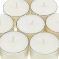 Floristik24 PURE Nature Lights Tealights Rapeseed Wax Natural Burning Time 7 Hours 18pcs