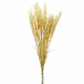 Floristik24 Pampas grass yellow Artificial ornamental grass Dry floristry 3pcs