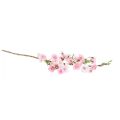 Floristik24 Peach blossom branch artificial pink branch spring 69cm