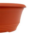 Floristik24 Plastic plant bowl Ø20cm terracotta 1 pc