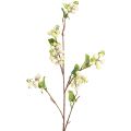 Floristik24 Snowberry artificial like from the firecracker bush L74cm