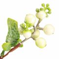 Floristik24 Snowberry artificial like from the firecracker bush L74cm