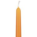 Floristik24 Taper candles Wenzel candles orange 250/23mm 12pcs