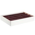 Floristik24 Taper Candles Solid Colored Candles Burgundy 50x300mm 4 pcs