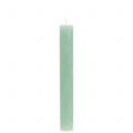 Floristik24 Taper candles dyed light green 34mm x 240mm 4pcs