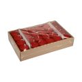 Floristik24 Pillar candles red Advent candles small old red 70/50mm 24pcs