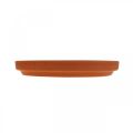 Floristik24 Coaster Mediterranean, ceramic bowl terracotta Ø10.7cm