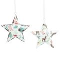 Floristik24 Christmas decoration star deer needles berries Ø8cm 6 pcs