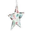 Floristik24 Christmas decoration star deer needles berries Ø8cm 6 pcs