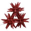 Floristik24 Poinsettias Christmas decorations red glitter Ø7cm 6pcs