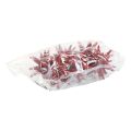 Floristik24 Poinsettias Christmas decorations red glitter Ø7cm 6pcs