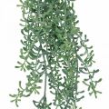 Floristik24 Green plant hanging artificial hanging plant with buds green, white 100cm