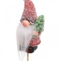 Floristik24 Decorative gnome Santa Claus decorative plugs Christmas 10cm 4pcs